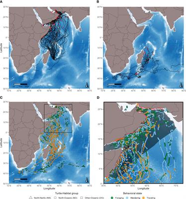 Loggerhead turtle oceanic-neritic habitat shift reveals key foraging areas in the Western Indian Ocean